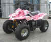 pink 2 atv.jpg (26607 bytes)